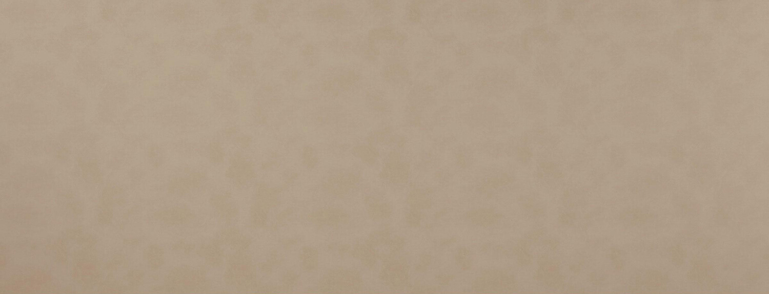Wall panel WallFace leather look 19023 Stony Ground self-adhesive beige