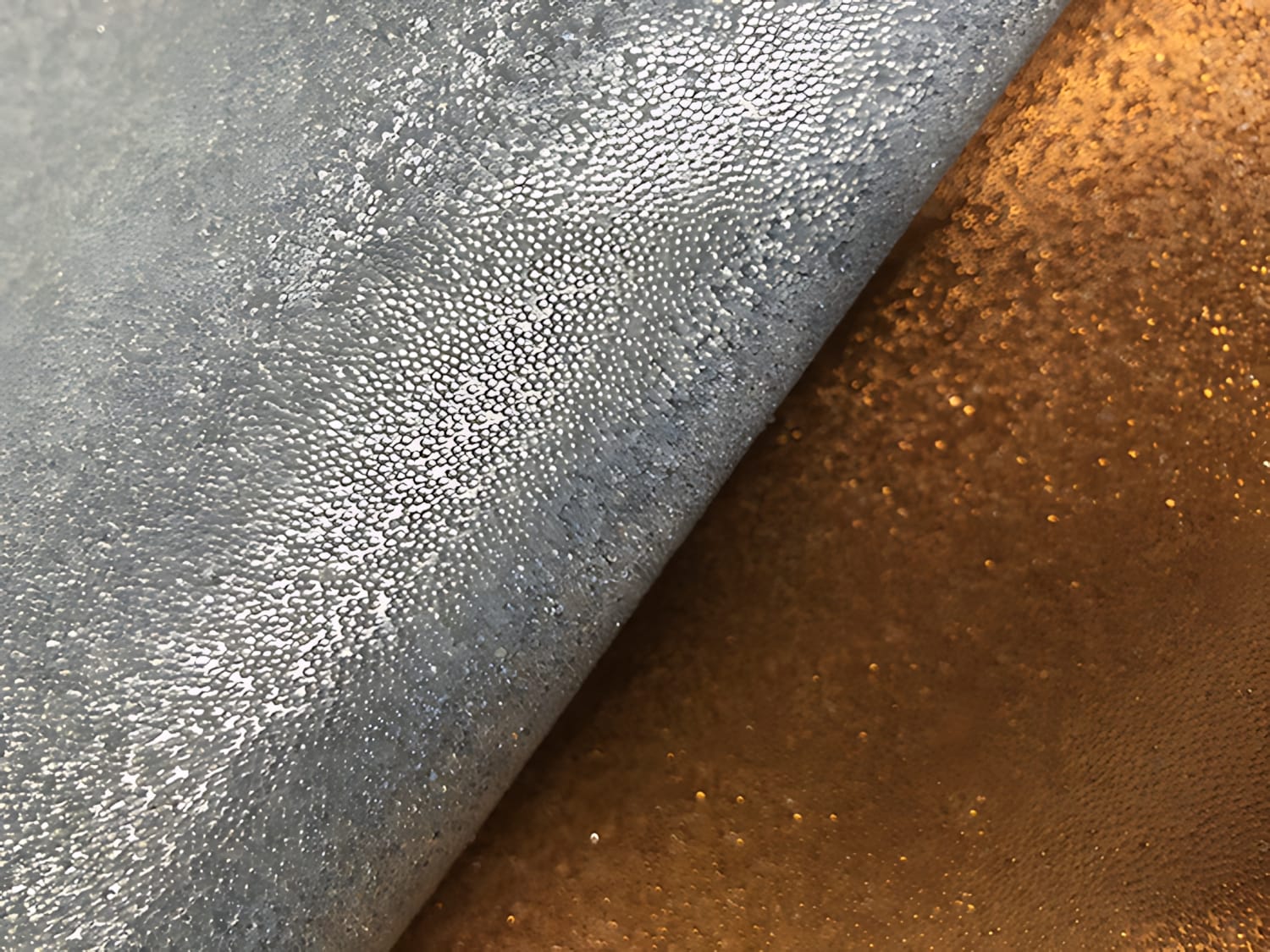 wallface-wp-picture-CBS-11-13-1