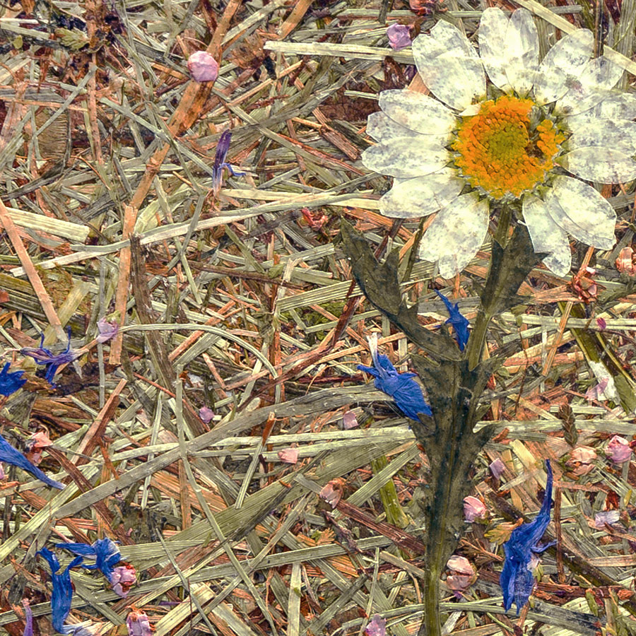 Wall covering WallFace natural alpine meadow decor AL-11005 ALPINE Potpourri self-adhesive brown beige Wall covering WallFace natural alpine meadow decor AL-11005 ALPINE Potpourri self-adhesive brown beige