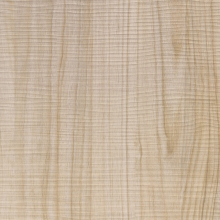 Vista detallada de panel de pared con efecto roble blanco.