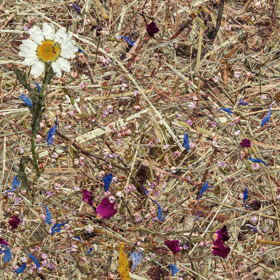 Revêtement mural WallFace décor de prairie alpine naturelle AL-11005 ALPINE Potpourri auto-adhésif brun beige