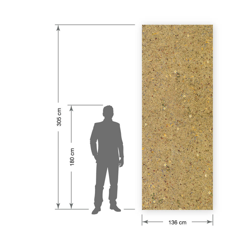Revêtement mural WallFace décor de prairie alpine naturelle AL-11005 ALPINE Potpourri auto-adhésif brun beige Revêtement mural WallFace décor de prairie alpine naturelle AL-11005 ALPINE Potpourri auto-adhésif brun beige