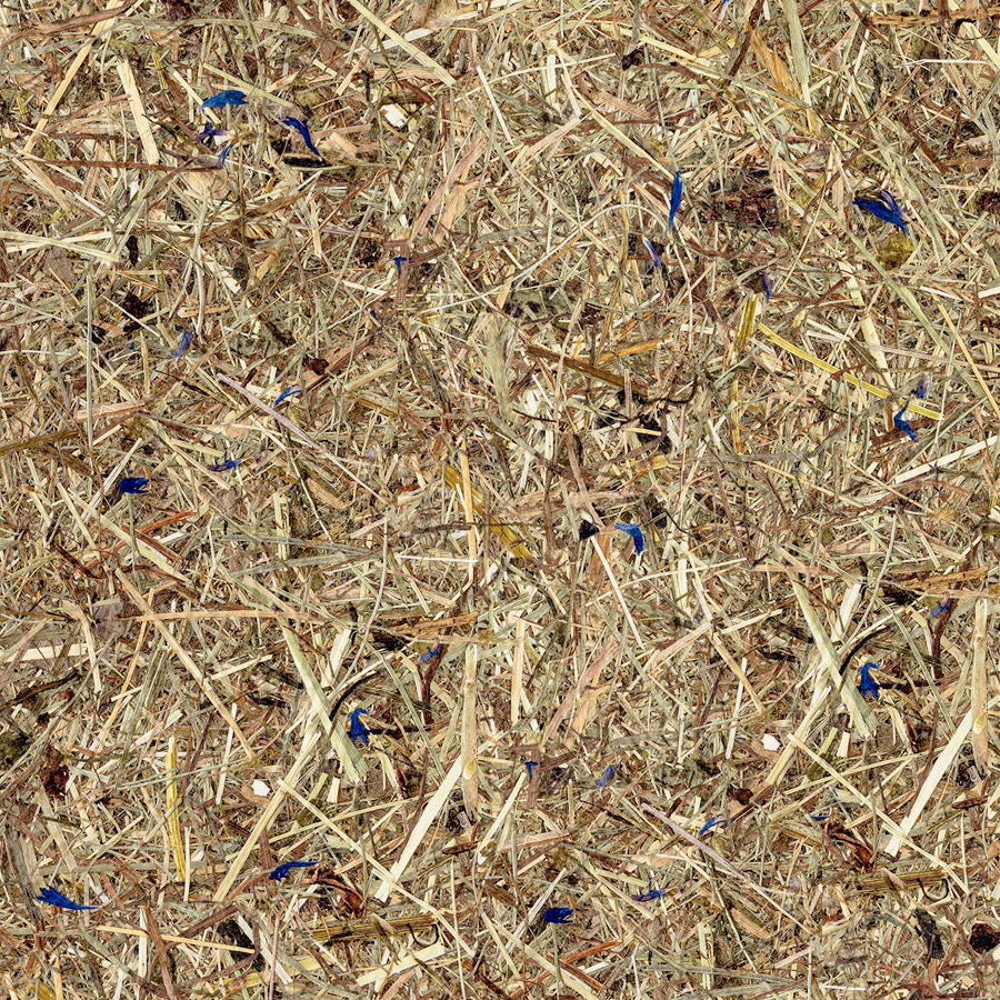 Wandverkleidung WallFace natürliches Almwiesen-Dekor AL-11002 ALPINE Lavender Blue selbstklebend braun beige