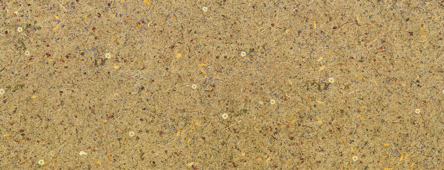 Wandverkleidung WallFace natürliches Almwiesen-Dekor AL-11005 ALPINE Potpourri selbstklebend braun beige