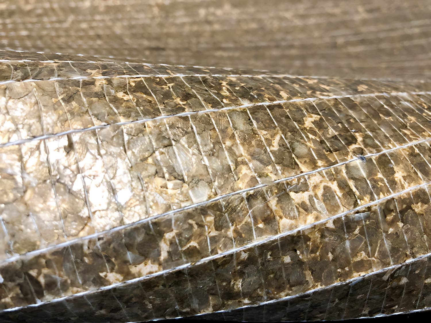 wallface-wp-picture-CSA07-int1