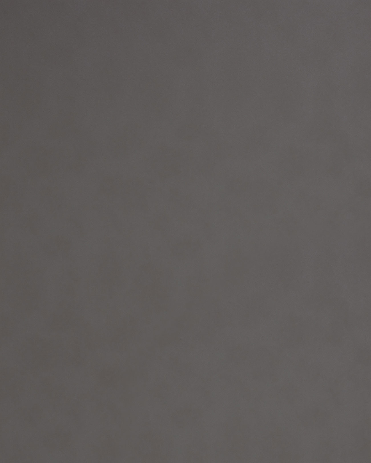 wallface-wp-picture-19763-wallface-wandpaneel-wall-panel