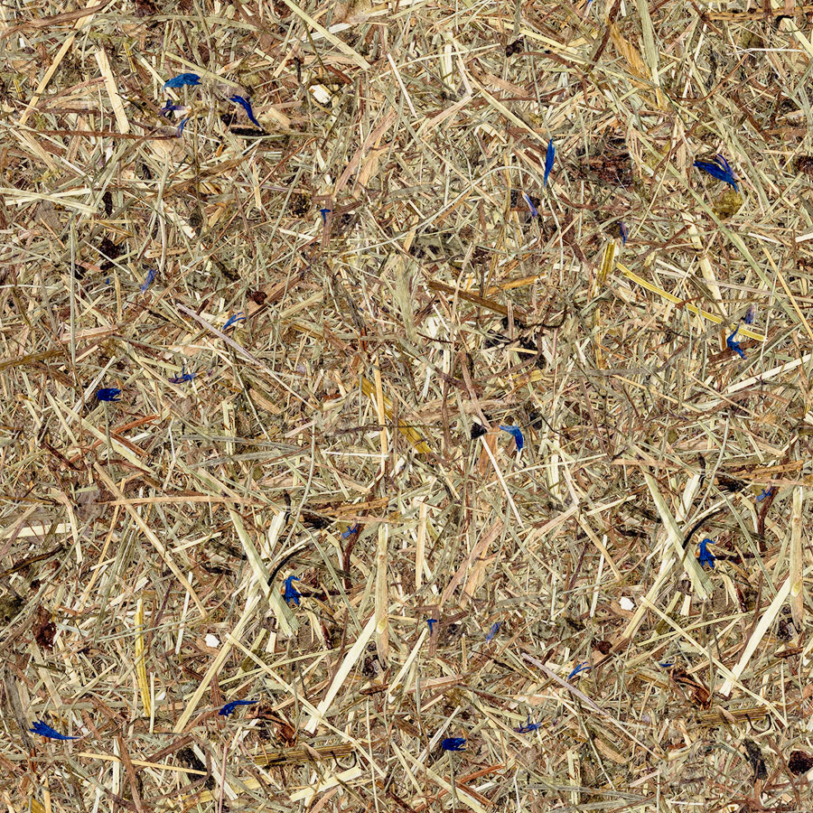 Wandverkleidung WallFace natürliches Almwiesen-Dekor AL-11002 ALPINE Lavender Blue selbstklebend braun beige Wandverkleidung WallFace natürliches Almwiesen-Dekor AL-11002 ALPINE Lavender Blue selbstklebend braun beige
