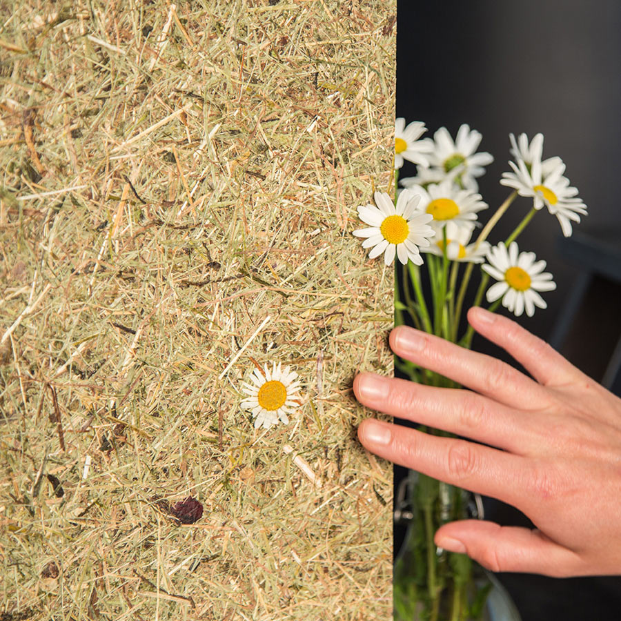 Wandverkleidung WallFace natürliches Almwiesen-Dekor AL-11004 ALPINE White Daisy selbstklebend braun beige Wandverkleidung WallFace natürliches Almwiesen-Dekor AL-11004 ALPINE White Daisy selbstklebend braun beige